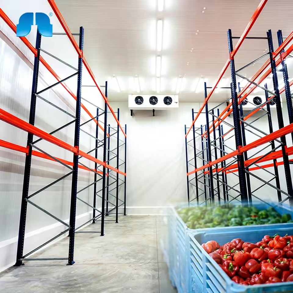 Arkref Refrigeration Cold Chamber Cold Storage Room Price Freezer Positive or Negative Temperature Cold Rooms