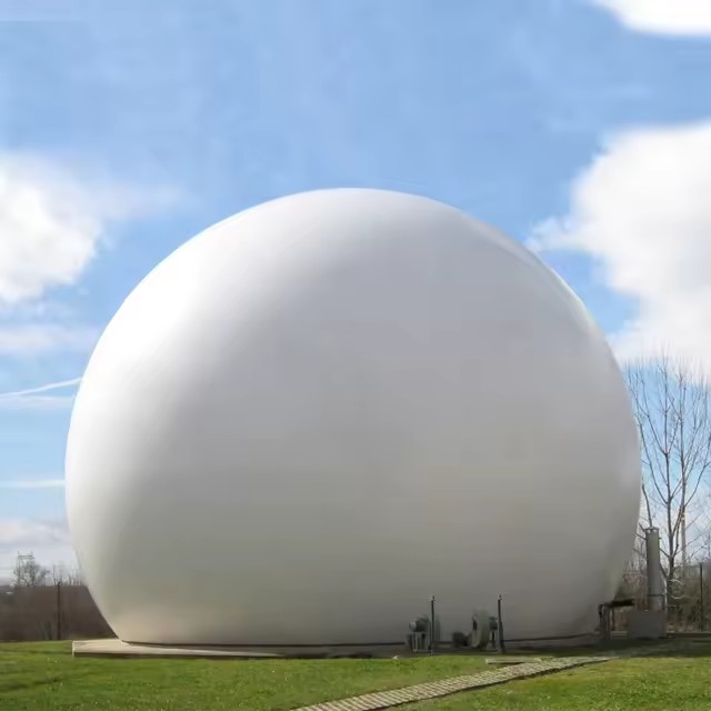 Biogas Plant to Generate Electricity