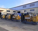 Chicken Farm/Sewage-Treatment Plant Continuous Power 360kW 95% Efficiency 380V 24V DC Electric Start Biogas Generator