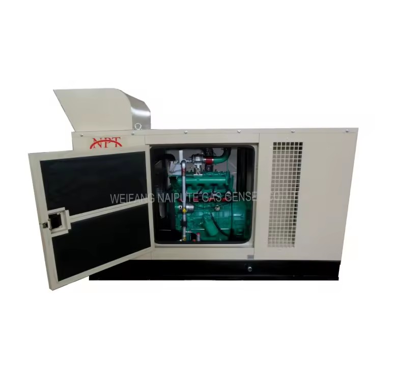 Silent 20kW Generator Burning Wood with Electricity