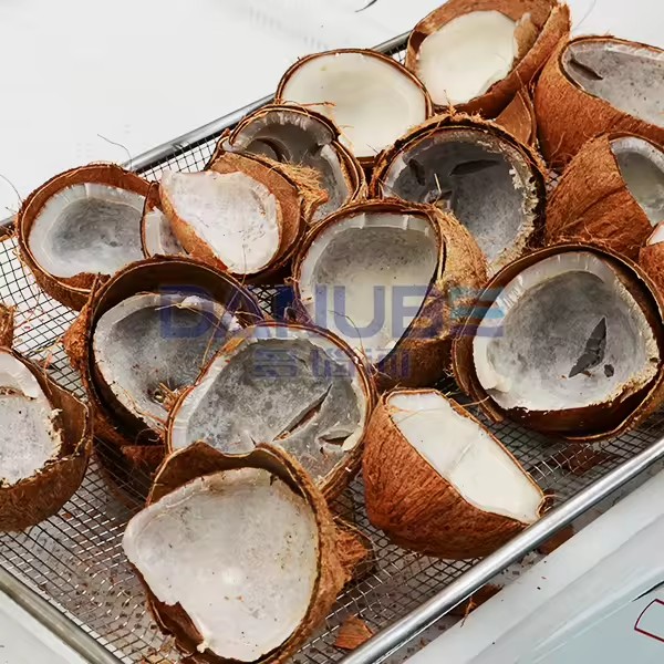 New Technology Copra Heat Pump Drying Oven Room Copra Dryer Machine Coconut Dehydrator Equipment