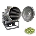 Labor-Saving Vacuum Drying Oven for Spring Onion Kiwi Fruit Freeze Drying 304 Stainless Steel Energy Saving High Capacity