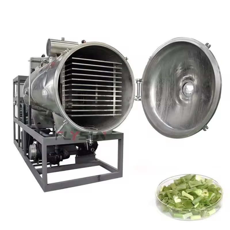 PLC-Controlled Labor-Saving 304 Stainless Steel Spring Onion Kiwi Fruit Vacuum Freeze Drying Machine Energy Saving High