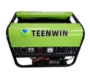 Methane Gas Biogas Biogaz Electric Power Engine Generators Generator for Home Use