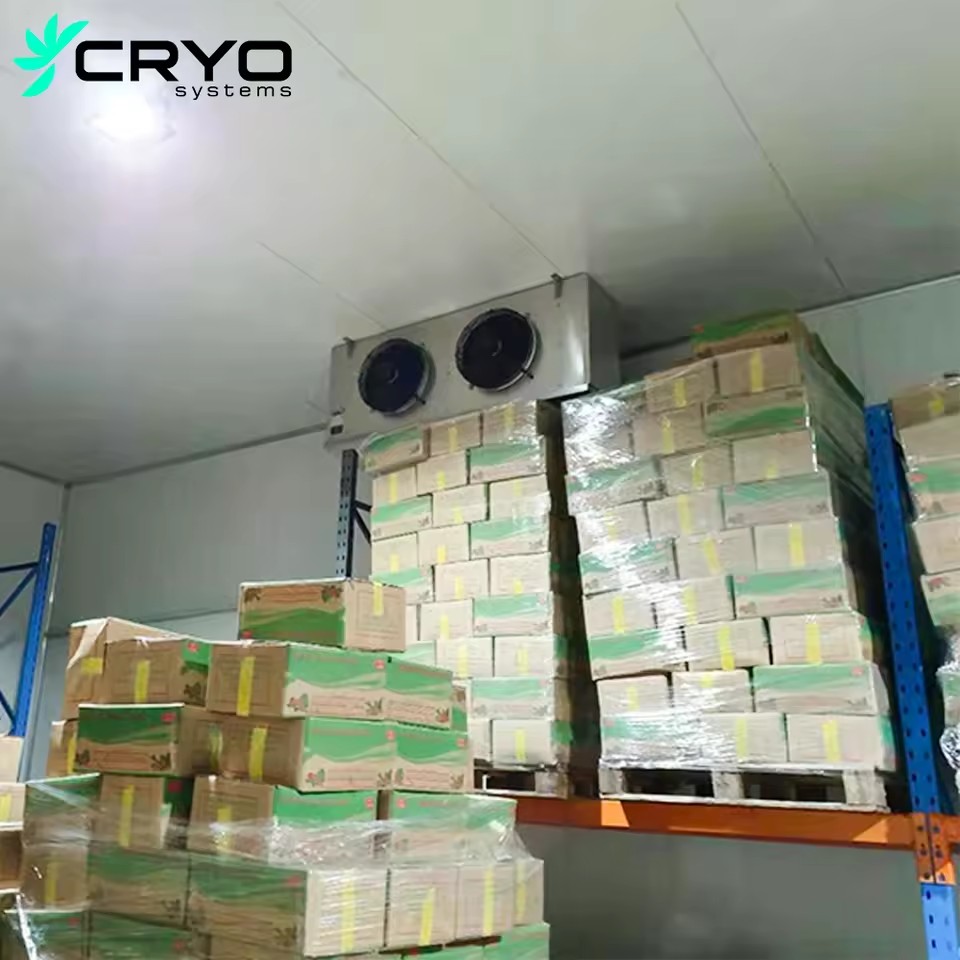High Efficiency Energy Saving Modular Walk-in Cold Room Motor Pump for Fresh Fruit Vegetable Tomato Storage (Solar Powered)