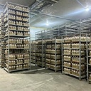 High Quality Industrial Large Cold Storage Warehouse Cold Room for Mushroom Cultivating Growing Farm Over 200sqm