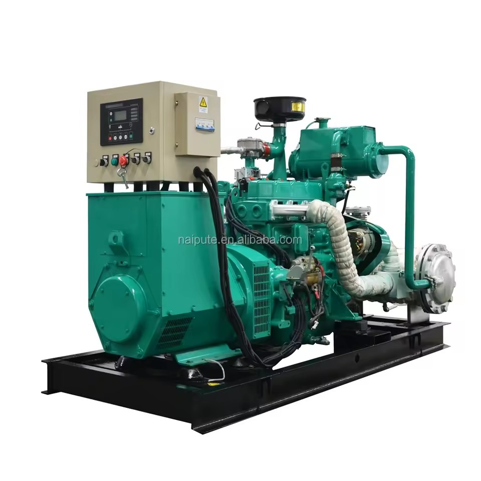 Biogas Plant to Generate Electricity with CE