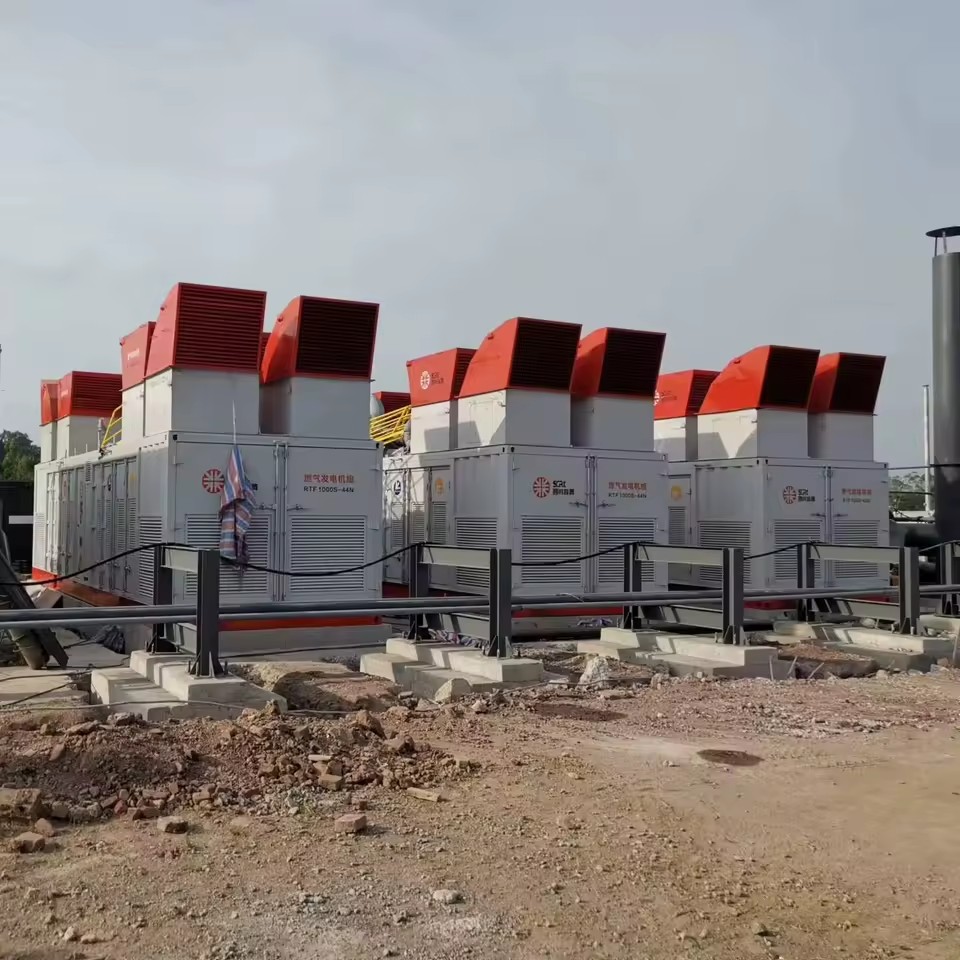 Custom 1000W Gas Power Generator with 500kw 300kw 250kw Energy Saving Engines Low Noise and Core Included