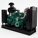 30kw 38kVA Industrial High-efficient CE Certified Biomass Gas Electricity Generator Generadores Genset