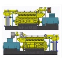 Biomass waste to energy Electricity Generator