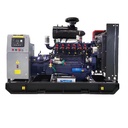 Biomass Electricity Generation 10kw-500kw Syngs Chp Landfill Gas Coal Power Generator Set