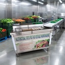 Customized Commercial Fruit and Vegetable Washing Machine Meat Washing Machine Egg Washing Machine