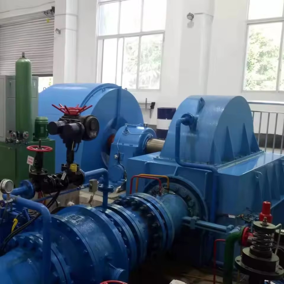 Horizontal Micro Mini Free Energy Brushless Generator Pelton Turbine