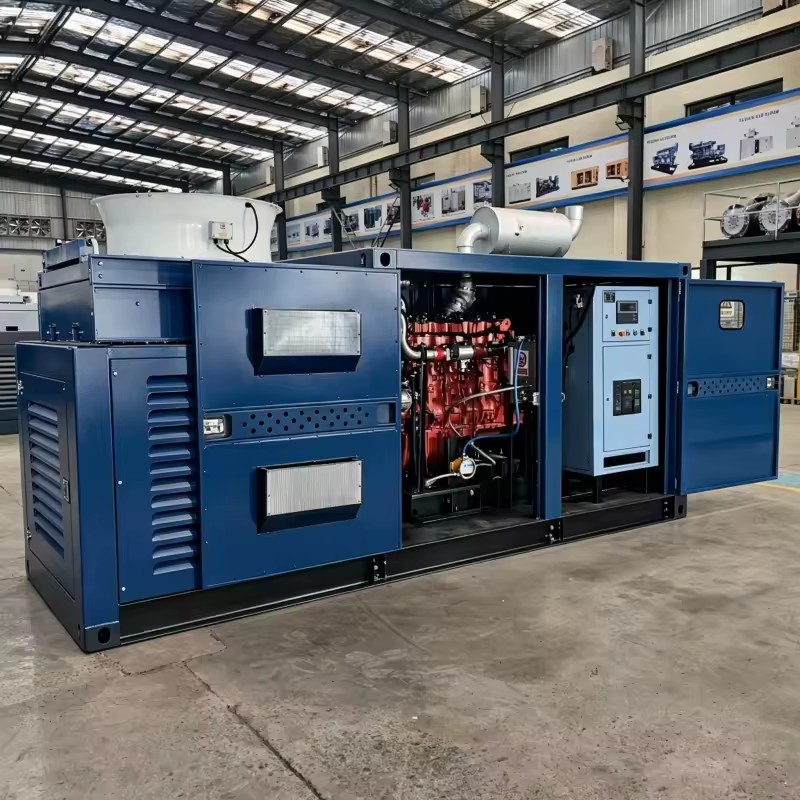 Gas Generator Set 30-1000kw with Natural Gas Biogas LPG Syngas for Electric Power Water Cooled 380V 50Hz