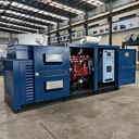Gas Generator Set 30-1000kw with Natural Gas Biogas LPG Syngas for Electric Power Water Cooled 380V 50Hz