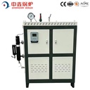Energy Saving 200Kg Small Industrial 50Kg Energy Saving Electric Heating Steam Boiler for Cement Curing