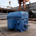 Medium Size YKK 630KW 500KW 450KW 400KW 355KW YKK4002-4 6kV High Voltage Electric Motors 3 Phase Motor
