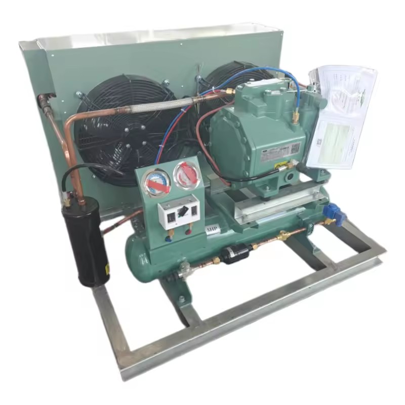 Energy-Saving Freezer Condenser Retail Unit with Low Noise Piston Refrigeration Compressor