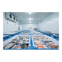 Professional Factory Direct Cold Room Freezer Room Cold Storage Chiller Room for Fish and Meat