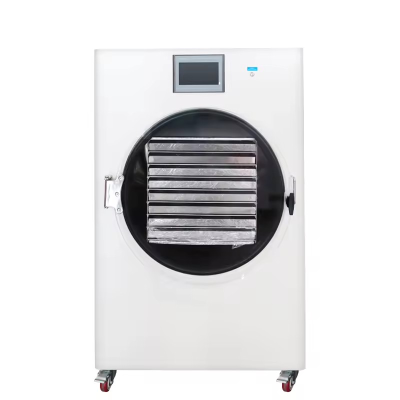 Best Quality 30kg Vacuum Freeze Dryer Food Drying Lyophilizer Machine Price for Home with Oil Free Vacuum Pump