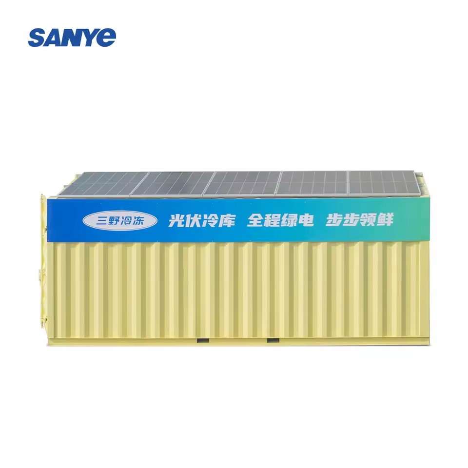 20ft Solar Powered Cold Room Container High-Efficiency Blast Freezer Walk-in Freezer for Fish Meat Vegetable Storage