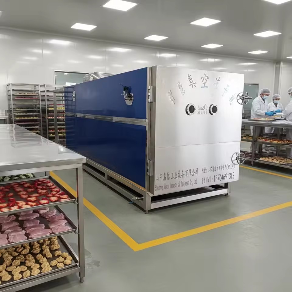 Large Industrial Stainless Steel Freeze Drying Equipment with PLC Control for Fruit High Vacuum Technology and Uniform Freezing