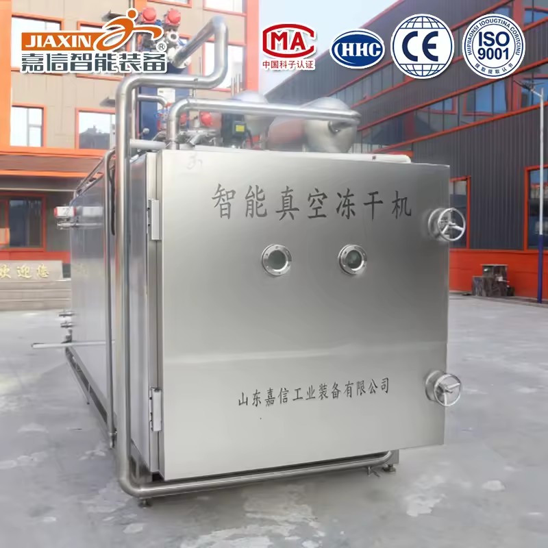 Automatic Industrial Freeze Drying Equipment with Electric Heating and Motor Vacuum Pump Protection System for Stable Operation