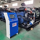 200kw Hydrogen Syngas Biomass Methane Generator High Productivity Engine for Biomass Gasification Electricity Generation