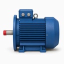 Cast Iron Three Phase AC Induction Motor B3 B35 Foot Flange Mounted 3000 1500 1000 750 Rpm Wholesale Factory Supplier