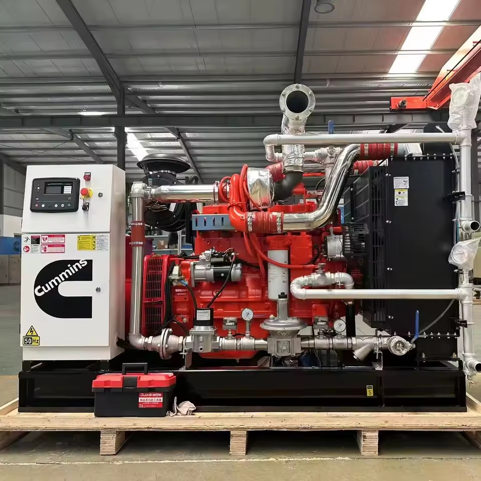 100kW Cummins Biogas Natural Gas Powered Generator Remote Start Biomass Gas Agricultural Waste Digester Gas Electricity System