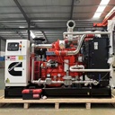 100kW Cummins Biogas Natural Gas Powered Generator Remote Start Biomass Gas Agricultural Waste Digester Gas Electricity System