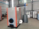 WLS0.5Ton Horizontal Biomass Steam Generator 500kg/h 0.7MPa Energy Saving for Textile Dyeing Feed Processing Plant