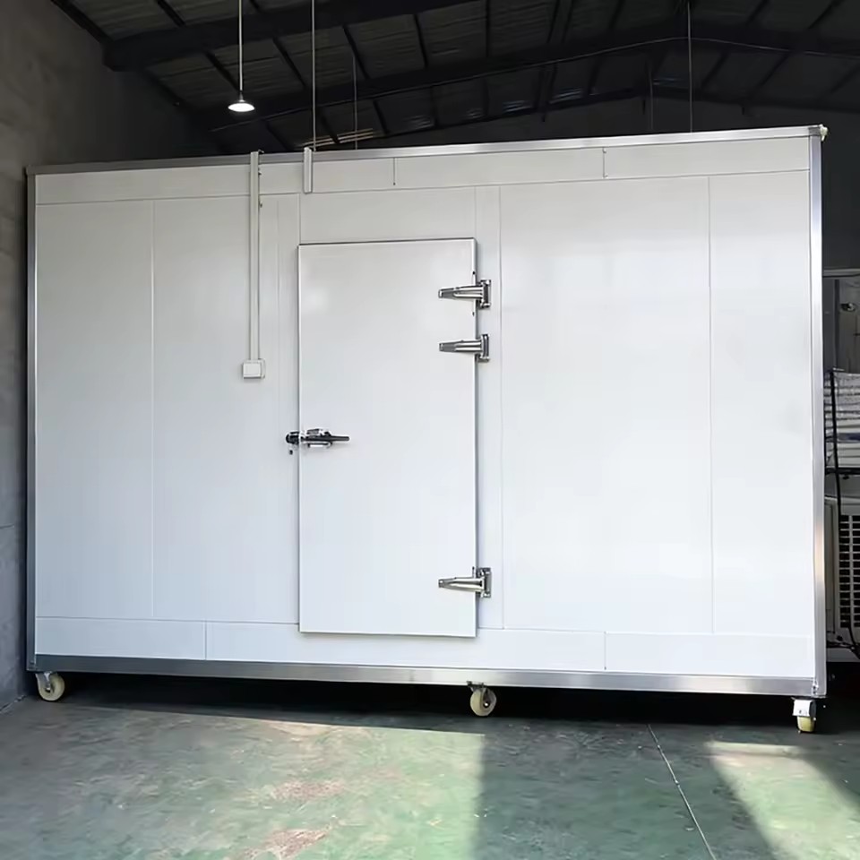 High Quality Refrigerated Room Cold Storage Container for Fruit Vegetables Meat Competitive Price Freezer