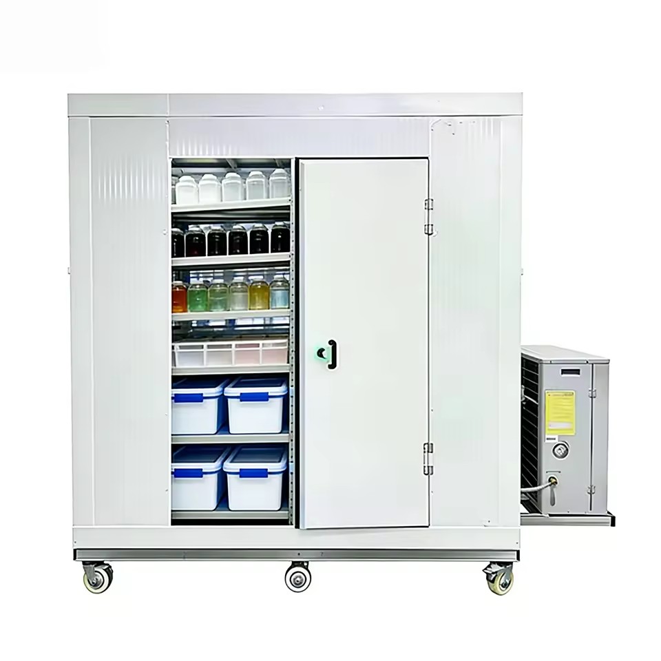 Cold Room for Commercial Use and Storage