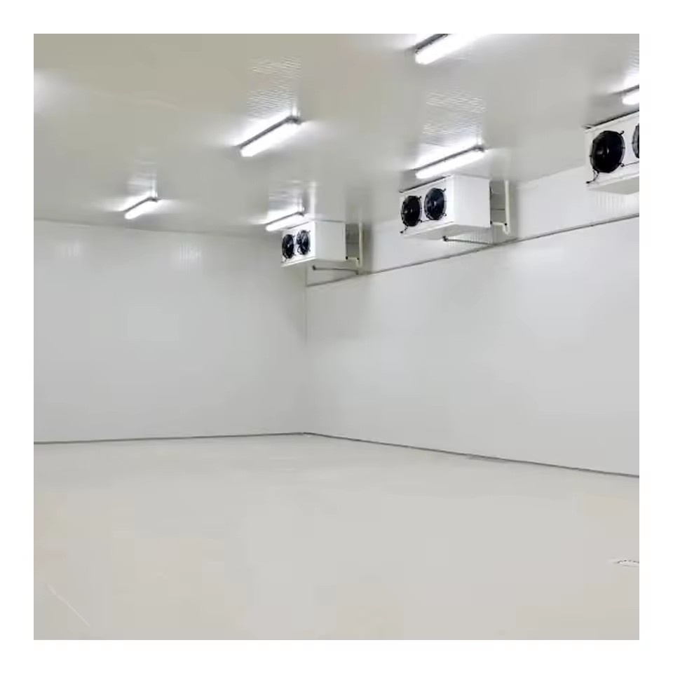 Commercial Cold Room Storage Equipment 100/200 Square Cold Storage Project with Refrigeration Equipment for Various Applications
