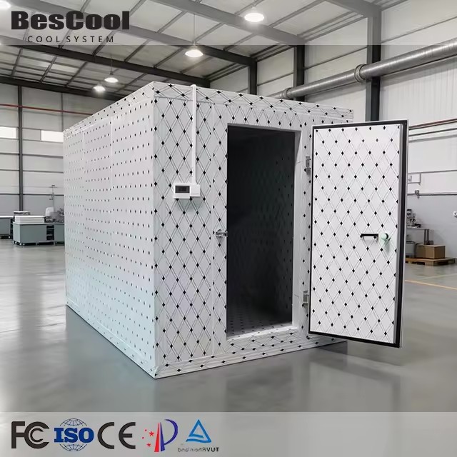 Wholesale Eco-Friendly Container Modular Cold Room with Energy Saving 100mm PU Panels 4 Doors Custom Design
