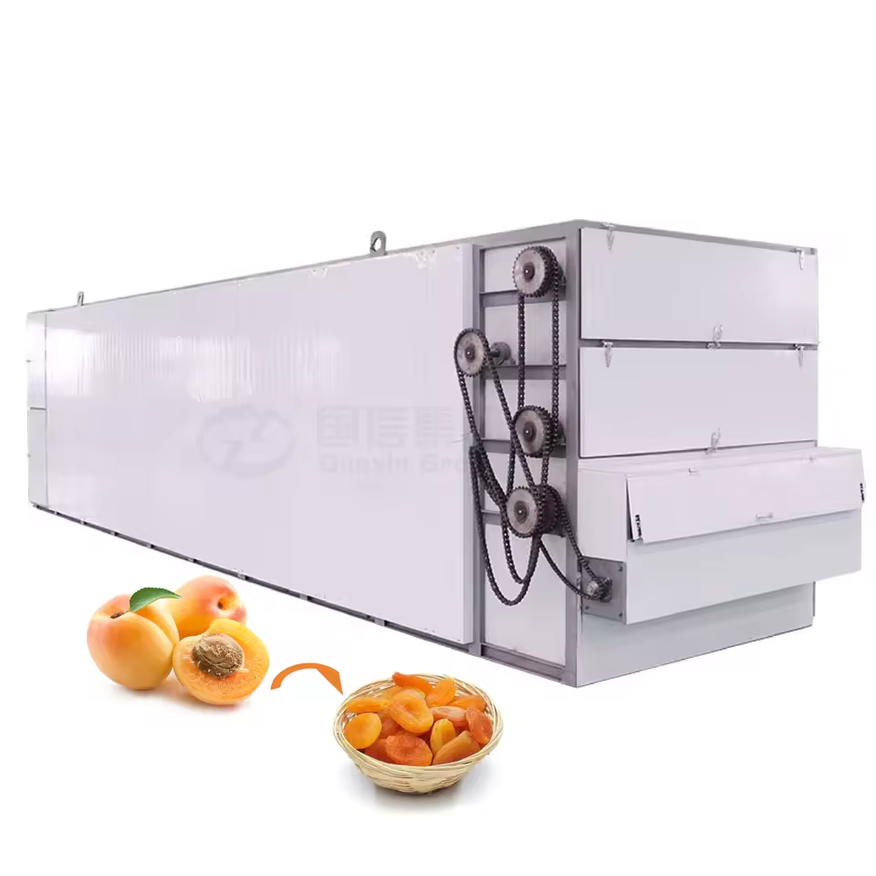 OEM High quality continuous apricot mesh belt drying equipment fruit processing apricot dryer