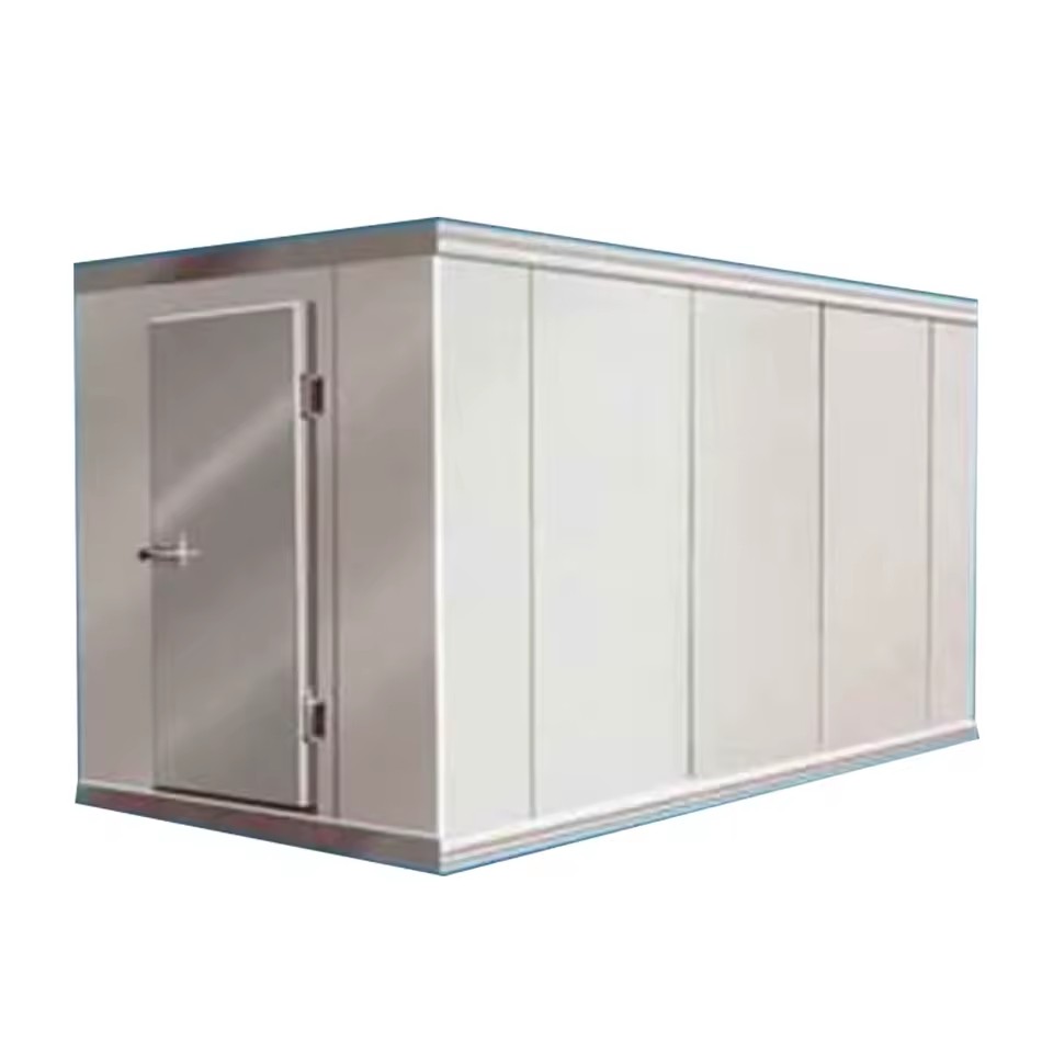Cooling and Freezing Room System Insulated Cold Storage Room for Meat