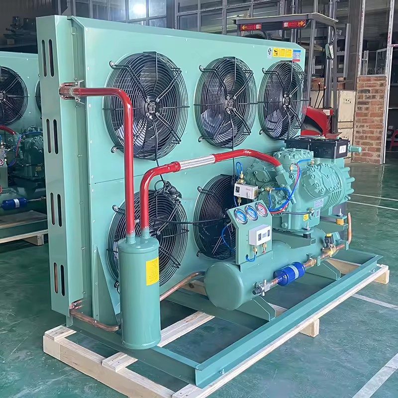 High Accuracy Custom 380V 40Hp Double Stage Air Cooled Refrigeration Condensing Unit Energy Saving Automatic Low Temperature