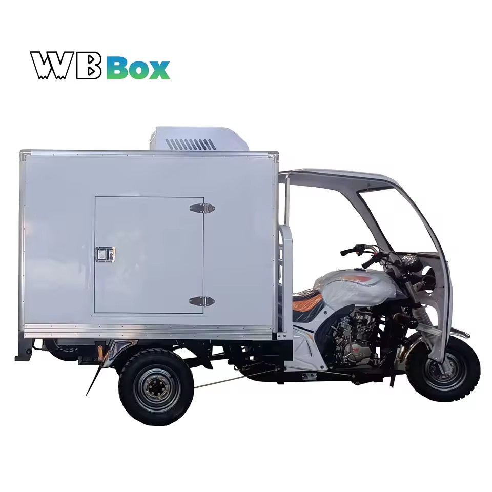 Petrol Gasoline Tricycle with Refrigerated Box Commercial Cold Room