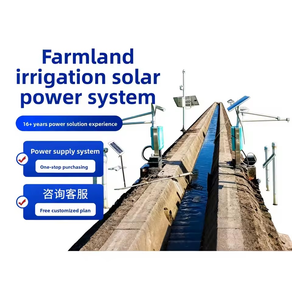 Solar-powered Monocrystalline Silicon 100W/100Ah Agricultural Irrigation System Farmland 12V/24V Submersible Pump Shandong