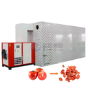 OEM Food-grade dryer stainless steel tray tomato slices dryer tomatoes drying processing dryer