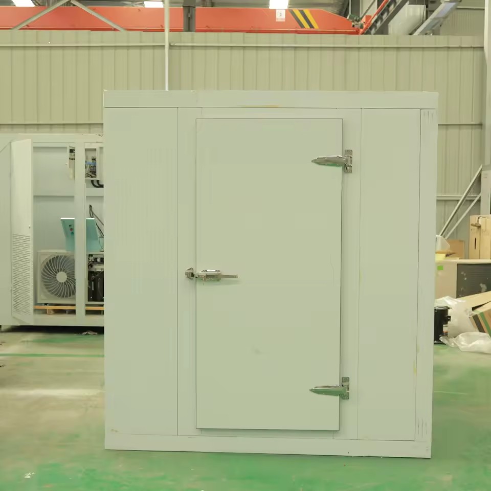 Customized High Efficiency Walk-In Freezer Cold Room Storage 150mm Panel Thickness Easy Operate Solar Sanyo Copeland for Bitzer