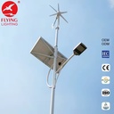 Wind-Solar Hybrid Lighting System Green Energy Hybrid Double Power Solar and Wind Street Light