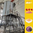Stainless Steel Spray Dryer Equipment with PLC and Gear for Large Capacity Industrial Egg & Coffee Powder Drying Machine Sale