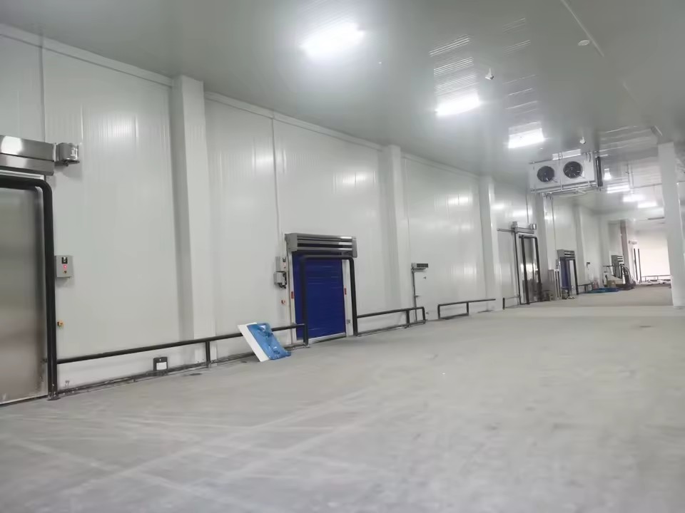 Meat and Fish Freezing Cold Room Cold Storage Walkin Fish Cold Storage Solution Industrial Cold Room Case for Seafood