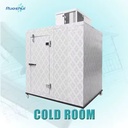 Latest Solar Powered Energy Saving Freezer Cold Room Container Storage with Compressor and Motor for Fruit and Fish