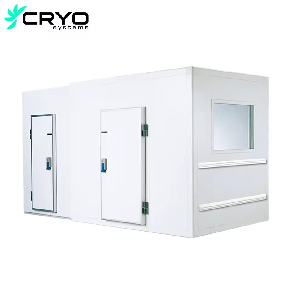 Refrigerated Cold Storage for Broccoli Potato Fruit-Energy Saving Copeland Compressor Solar Powered Custom Design