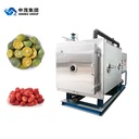 Commercial Professional SINOBIZ Use Food-using Scale Lyophilizer Machine Fruit Vegetable Candy Vacuum Freeze Dryer