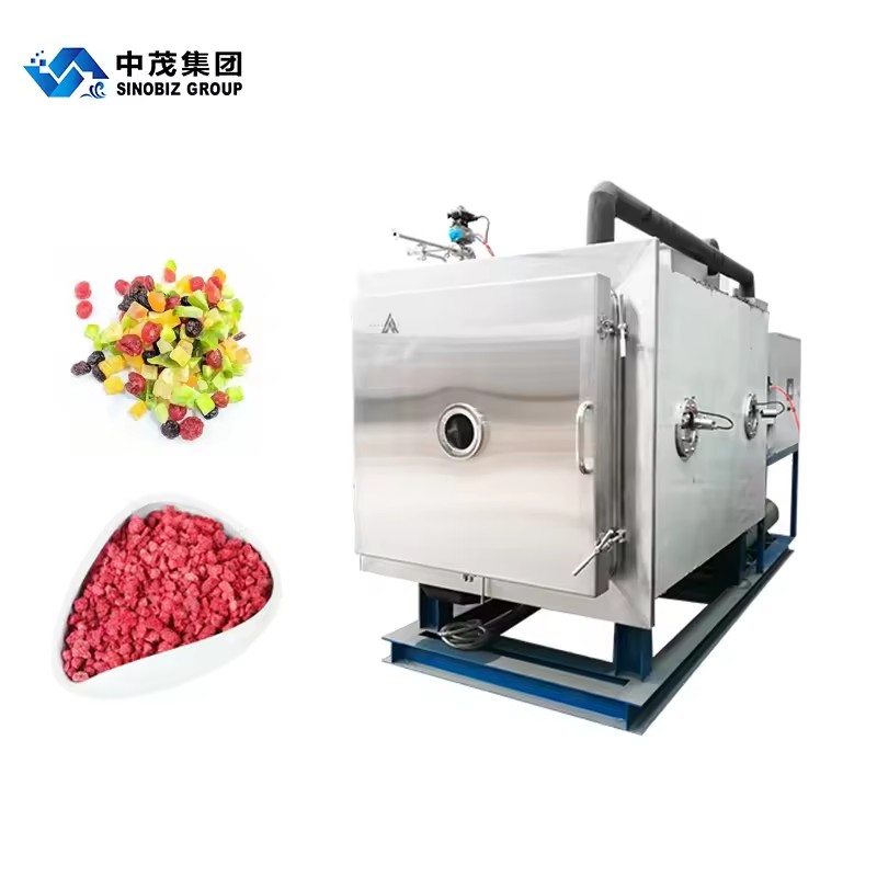 High Quality Freeze Drying Equipment Vacuum Freeze Dryer Machine SINOBIZ Hot Selling